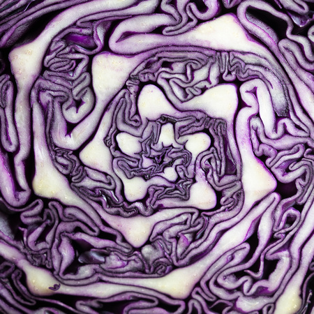 Cabbage Abstract