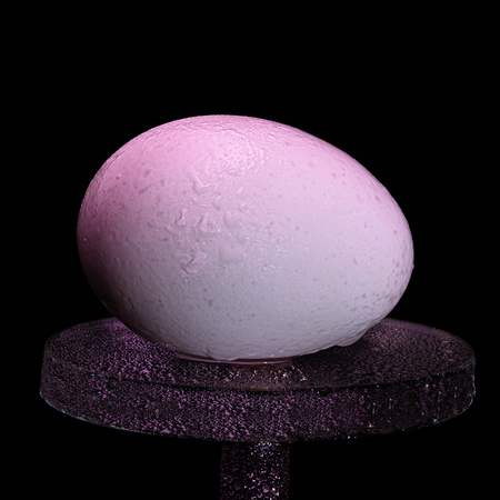 Wet Egg on a Pedestal