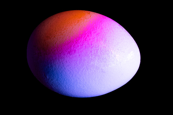 Colorful Egg #1