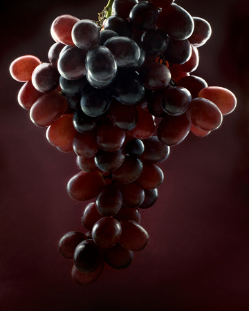 Cluster of Seedless Table Grapes