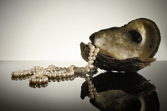 Oyster & Pearls