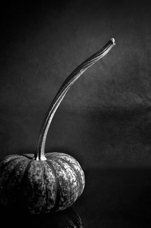 Long stem on a gourd