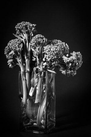 Baby Broccoli Bouquet