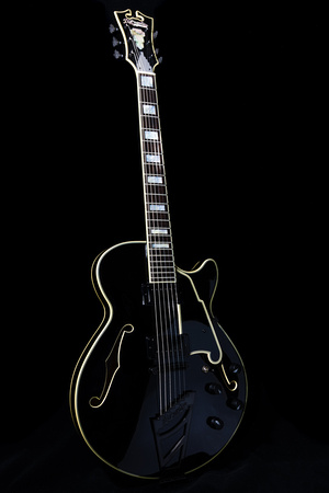 D'Angelico Excel Series EX-SS Semi-Hollow Body #1
