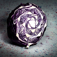 Cabbage #2