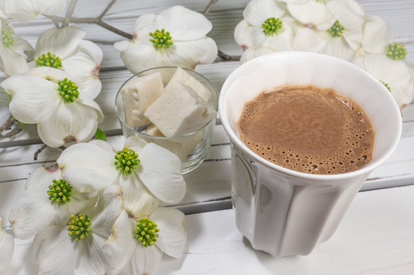 Hot Chocolate Among the Dogwood Blossoms