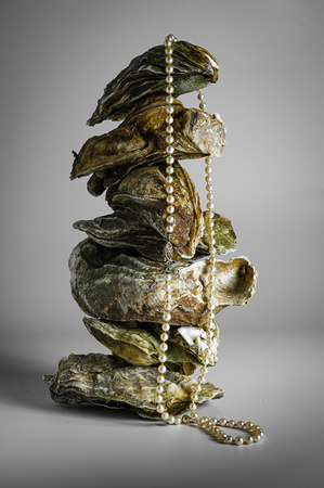 Stacked Oysters